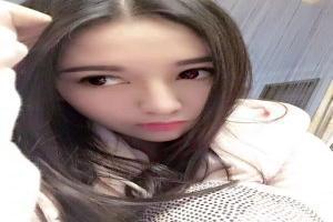 玫瑰战争小说全文免费阅读